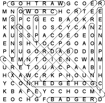 word search puzzle solution