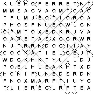 word search puzzle solution