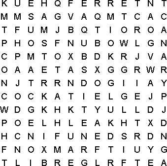 word search puzzle