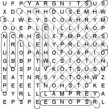 word search puzzle solution