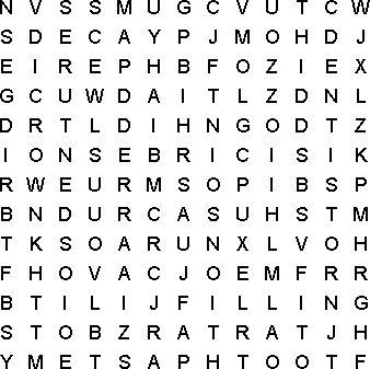 word search puzzle