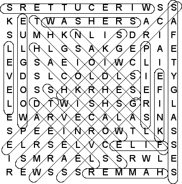 word search puzzle solution