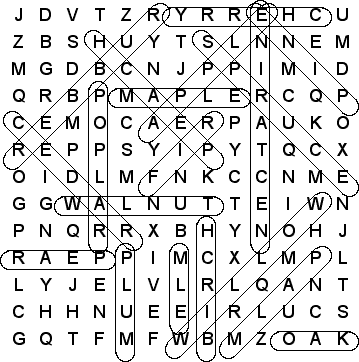 word search puzzle solution