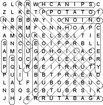 word search puzzle solution