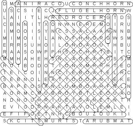 word search puzzle solution