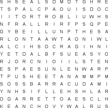 word search puzzle