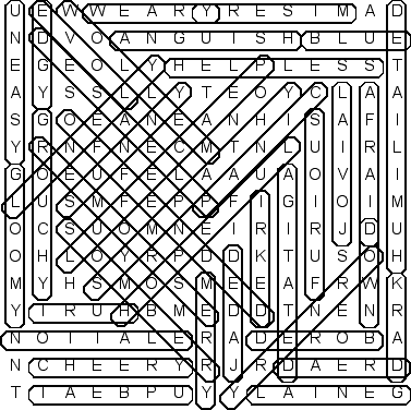 word search puzzle solution