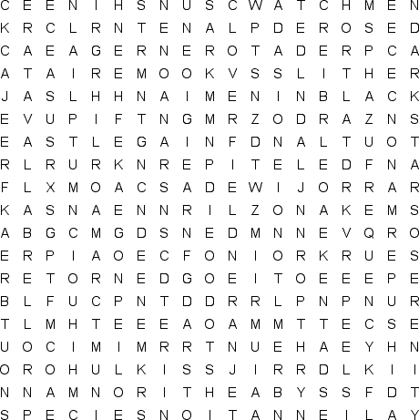 word search puzzle