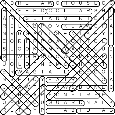 word search puzzle solution