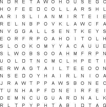 word search puzzle