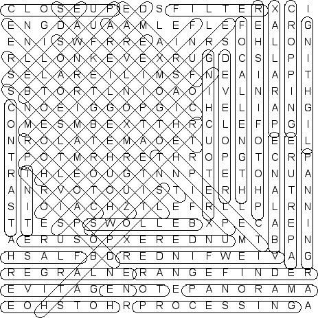 word search puzzle solution