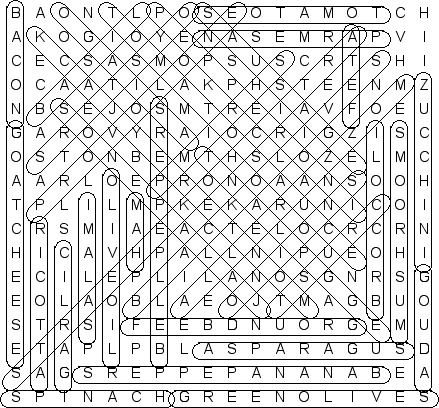 word search puzzle solution