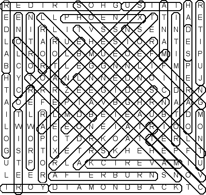 word search puzzle solution