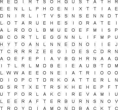 word search puzzle