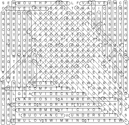 word search puzzle solution