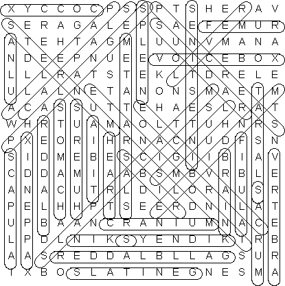 word search puzzle solution