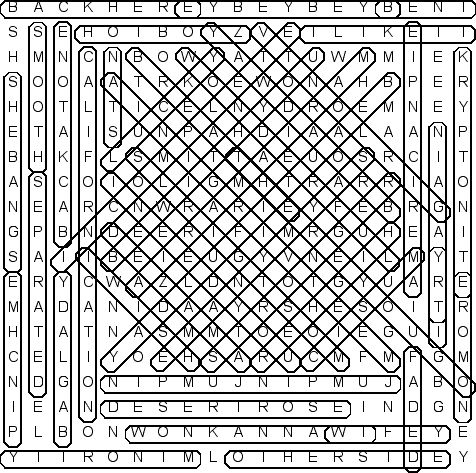 word search puzzle solution