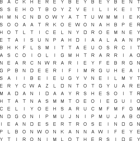 word search puzzle