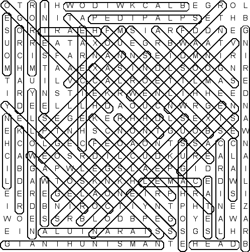 word search puzzle solution