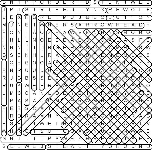 word search puzzle solution