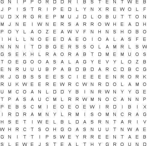 word search puzzle