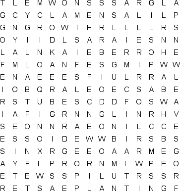 word search puzzle