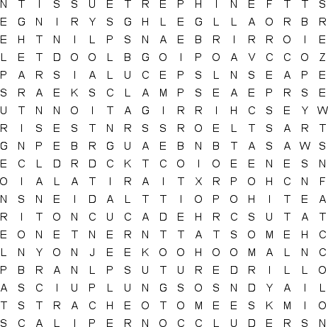 word search puzzle