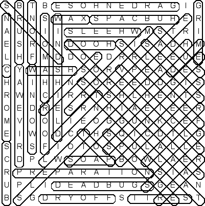 word search puzzle solution