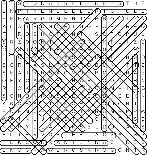 word search puzzle solution