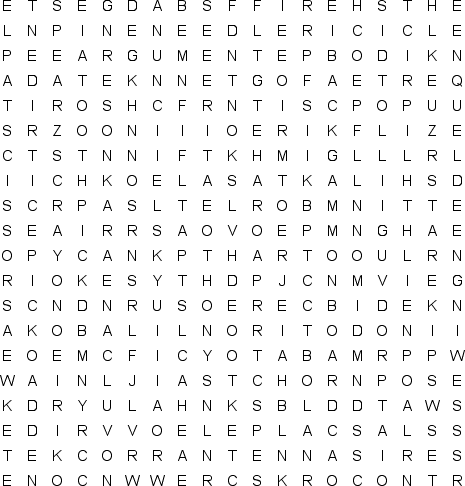 word search puzzle